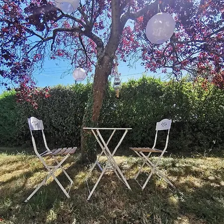 Quatre Chats Sous Un Pin Le Thoureil