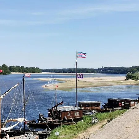 Quatre Chats Sous Un Pin Le Thoureil