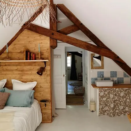 Quatre Chats Sous Un Pin Le Thoureil