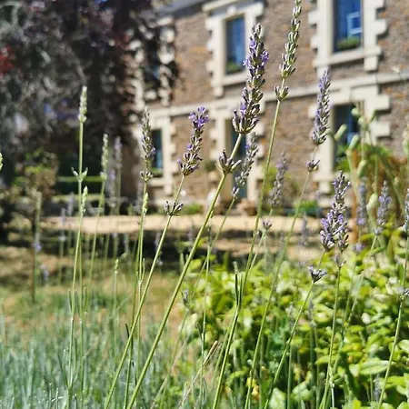 Bed & Breakfast Quatre Chats Sous Un Pin