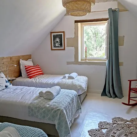 Quatre Chats Sous Un Pin