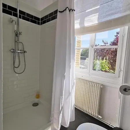 Quatre Chats Sous Un Pin