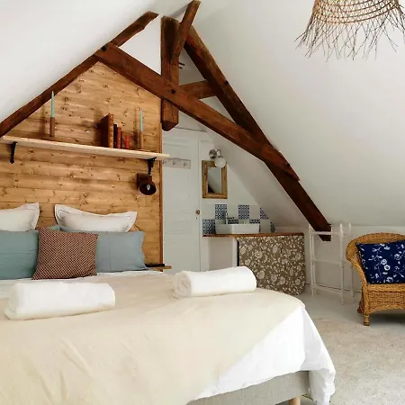 Quatre Chats Sous Un Pin Le Thoureil