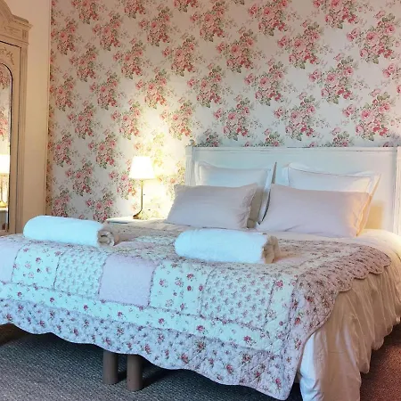 Quatre Chats Sous Un Pin Le Thoureil