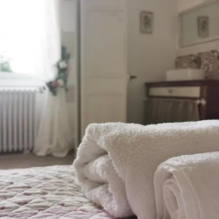 Quatre Chats Sous Un Pin