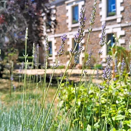 Quatre Chats Sous Un Pin Bed and Breakfast Le Thoureil