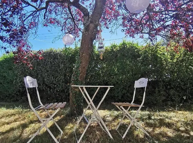 Quatre Chats Sous Un Pin Le Thoureil