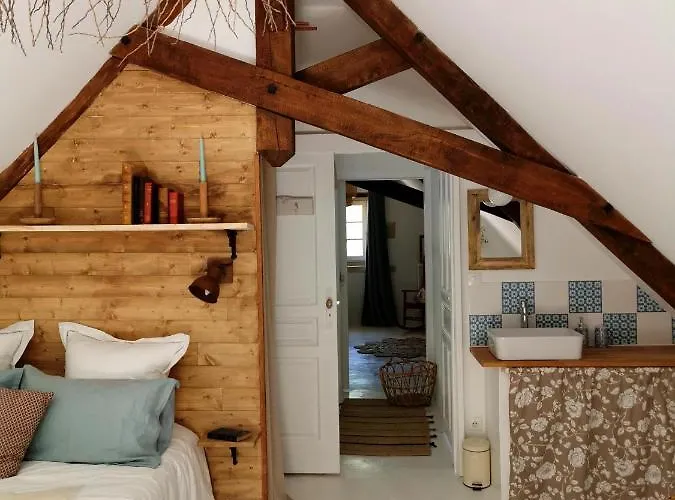 Quatre Chats Sous Un Pin Le Thoureil