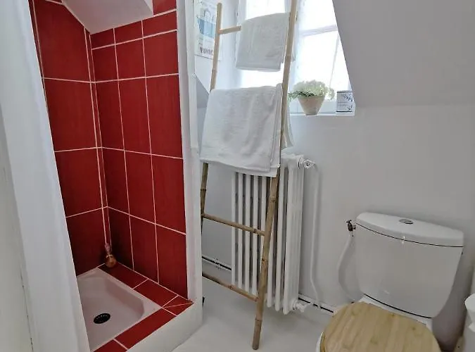 Quatre Chats Sous Un Pin 3*