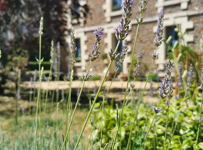 فندق مبيت وإفطار Quatre Chats Sous Un Pin