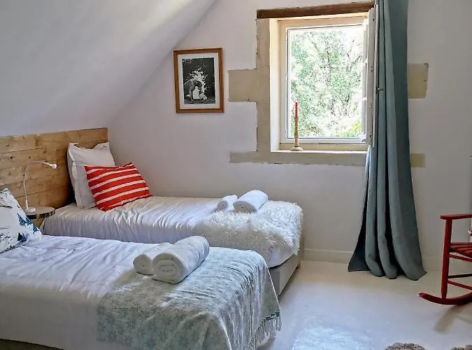 Quatre Chats Sous Un Pin