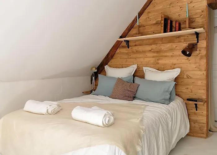 Quatre Chats Sous Un Pin Le Thoureil