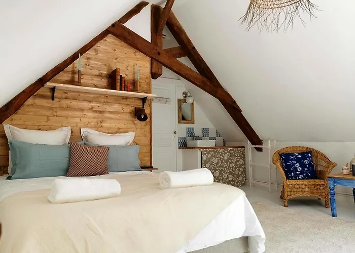 Quatre Chats Sous Un Pin Le Thoureil