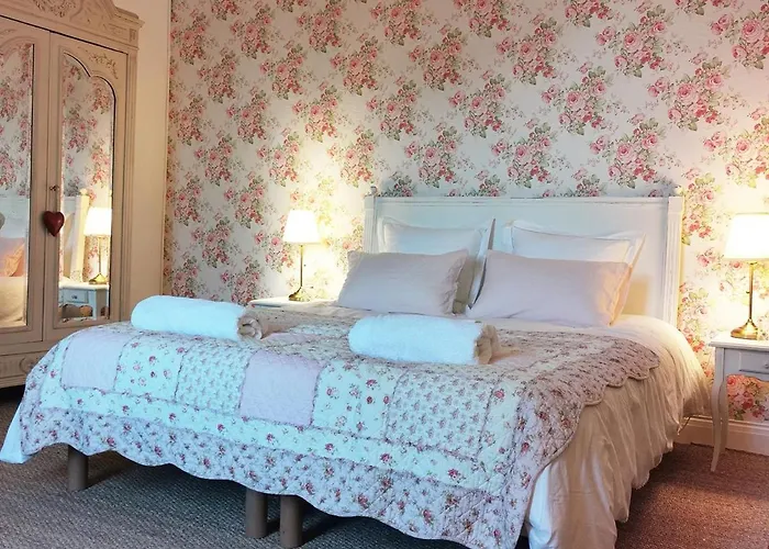 Quatre Chats Sous Un Pin Le Thoureil