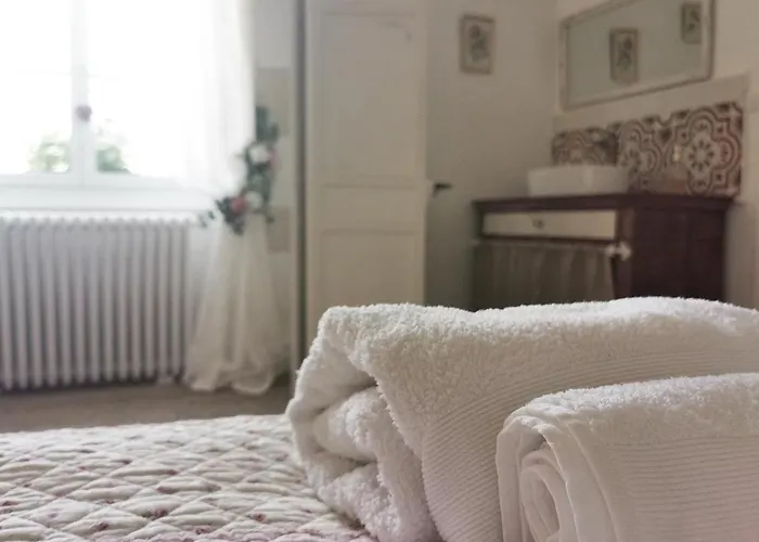 Quatre Chats Sous Un Pin